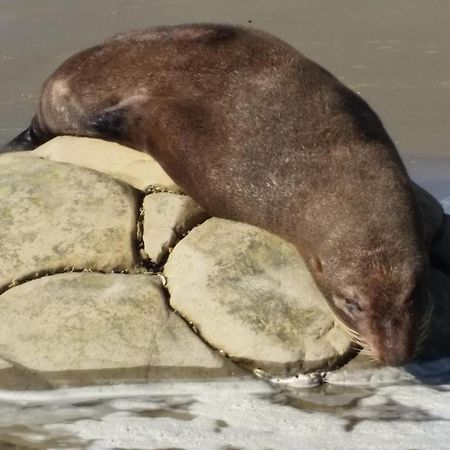 Moeraki Boulders Motel Hampden ภายนอก รูปภาพ
