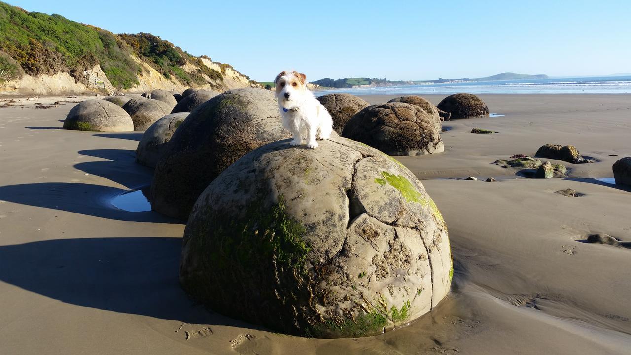 Moeraki Boulders Motel Hampden ภายนอก รูปภาพ