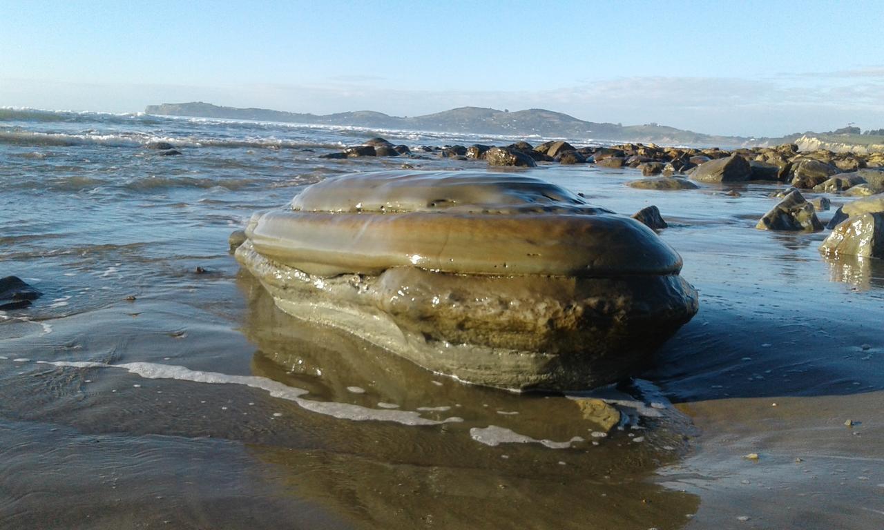 Moeraki Boulders Motel Hampden ภายนอก รูปภาพ